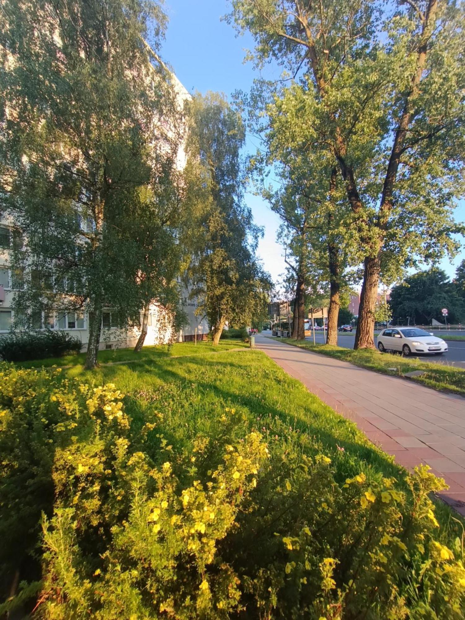 Retro Apartament Blisko Parku Koszalin Buitenkant foto